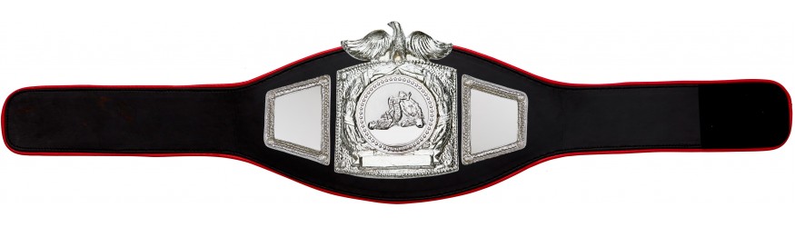 PROEAGLE JIU JITSU CHAMPIONSHIP BELT - PROEAGLE/S/JJS - AVAILABLE IN 6+ COLOURS